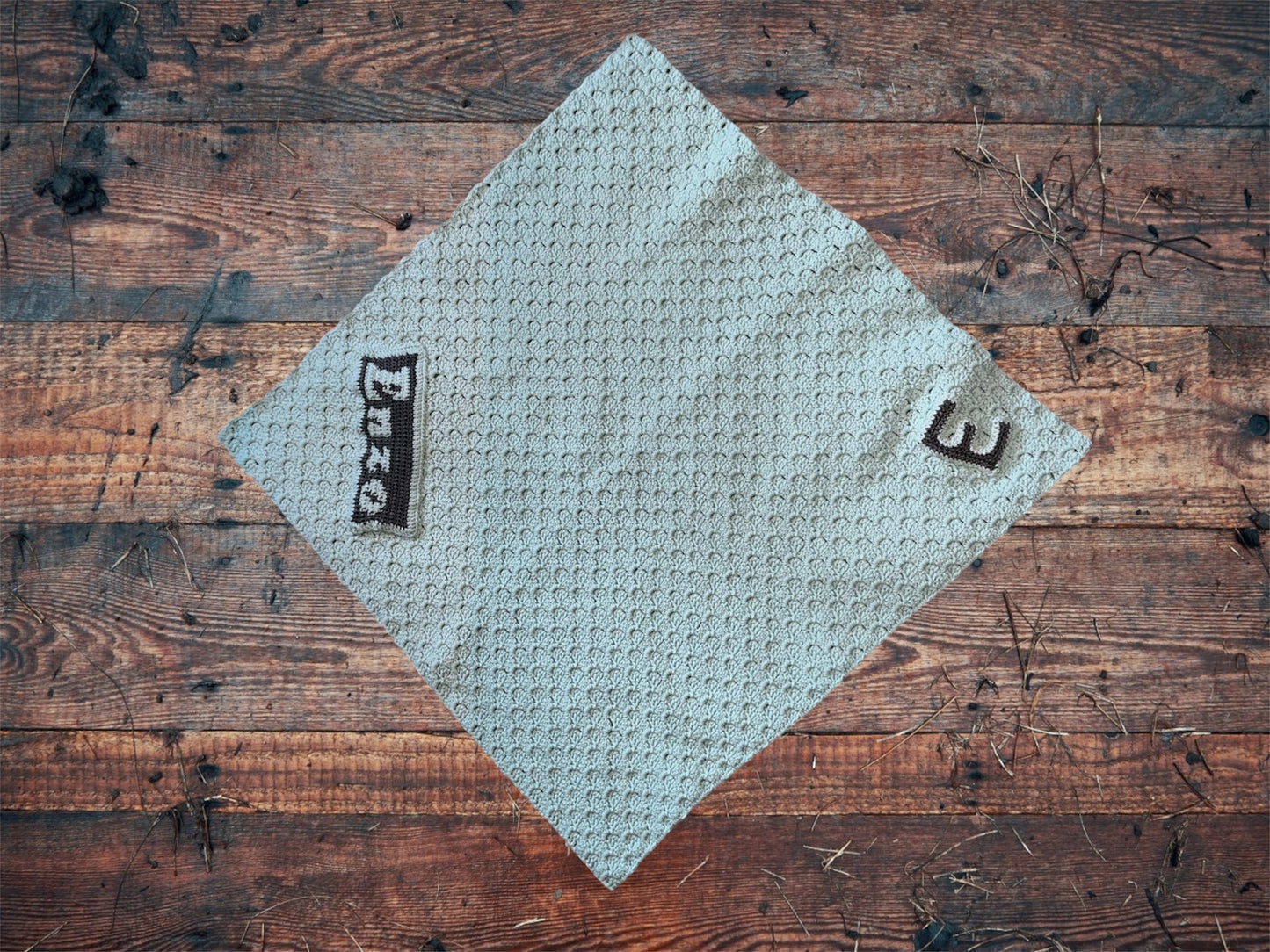 Custom Baby Blanket