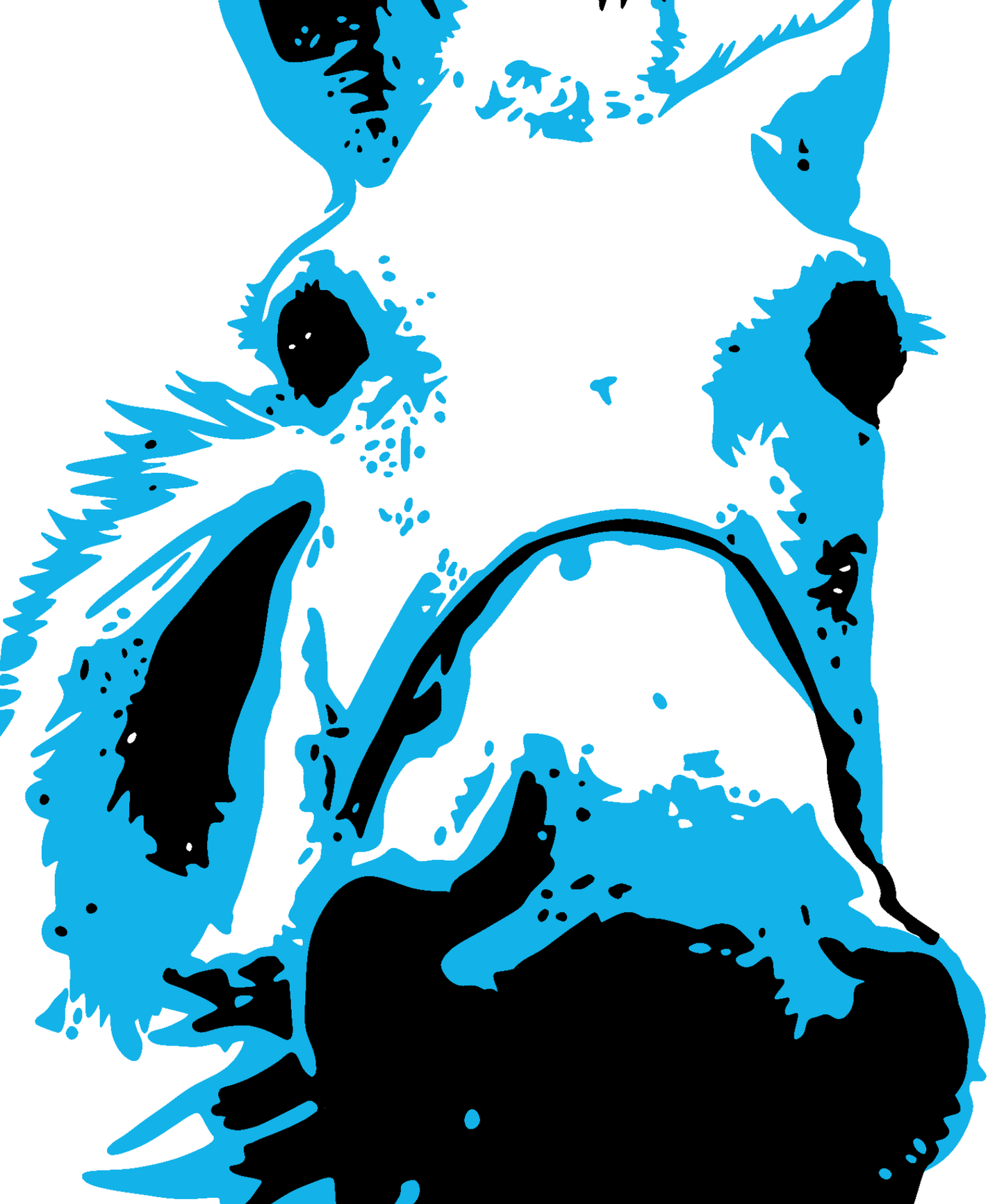 Custom 2 Color Pop Art Drawing