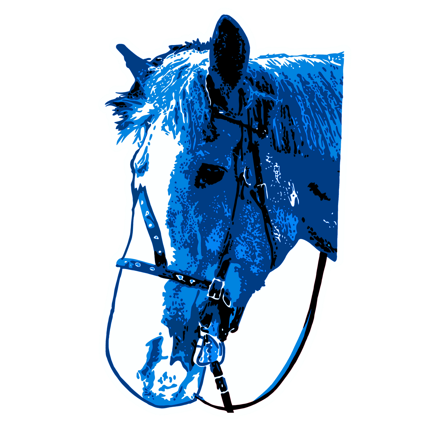 Custom 3 Color Pop Art Drawing