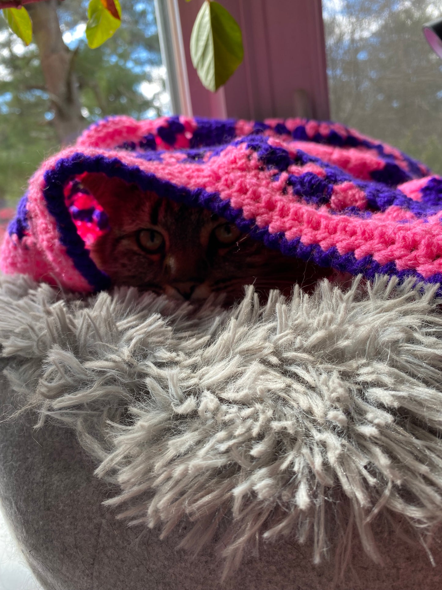 Star Blanket