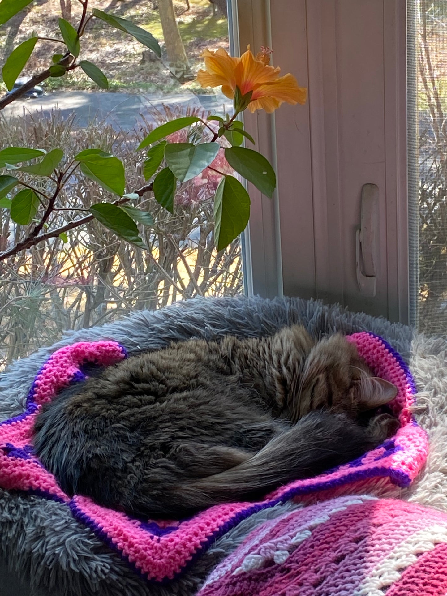 Star Blanket